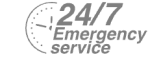 24/7 Emergency Service Pest Control in West Ealing, W13. Call Now! 020 8166 9746