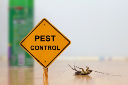 Pest Contol in West Ealing, W13. Call Now 020 8166 9746